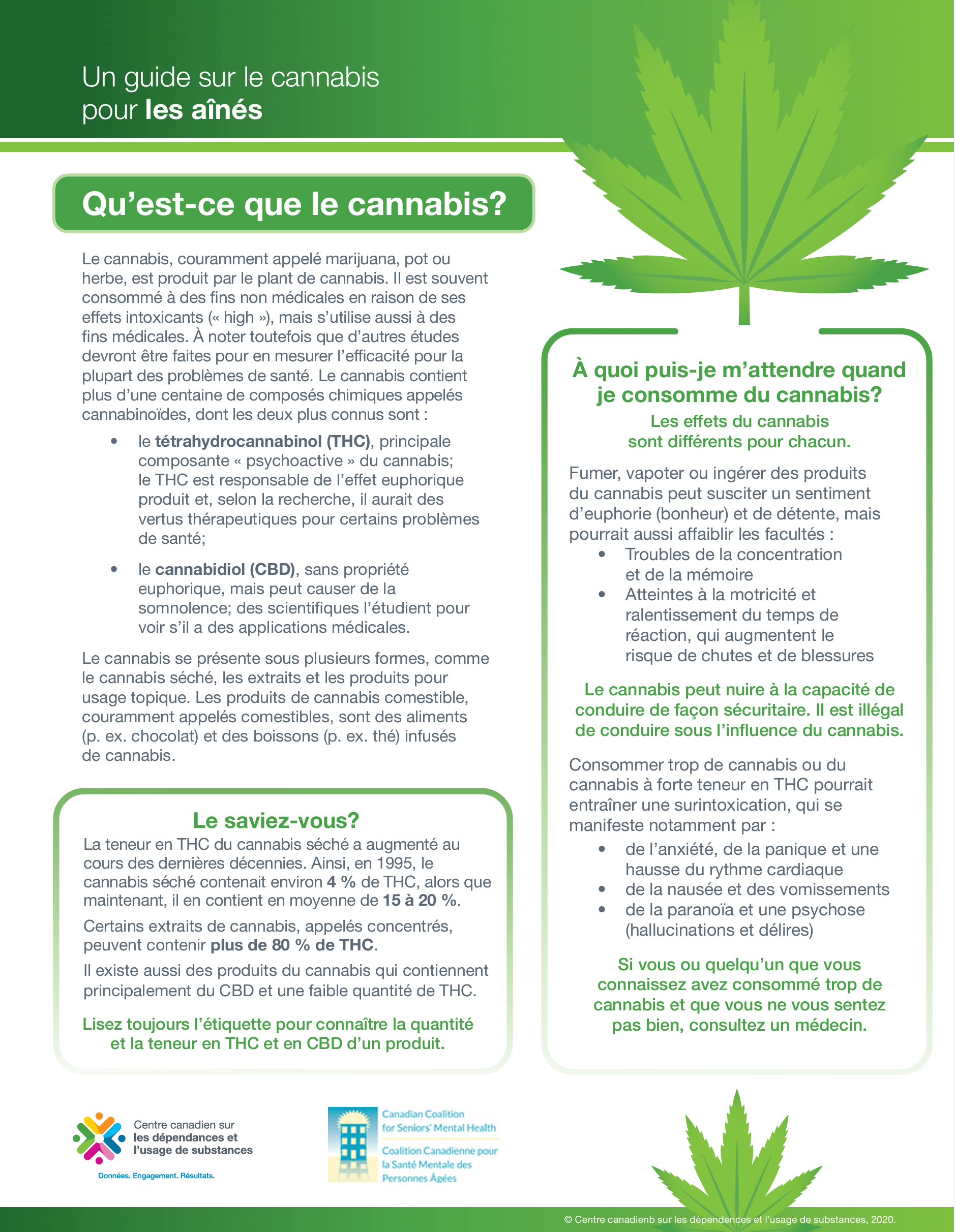 Document front page for a cannabis info sheet in French